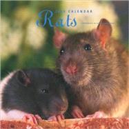 Rats 2009 Calendar