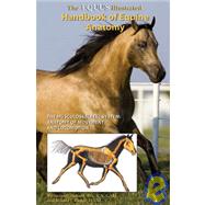 Equus Illustrated Handbook of Equine Anatomy : The Musculoskeletal System: The Anatomy of Movement and Locomotion
