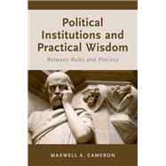 Political Institutions and Practical Wisdom Between Rules and Practice
