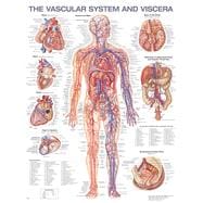 The Vascular System and Viscera Anatomical Chart book cover, ISBN 9781975214333