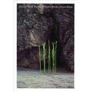 GroundWork The Art of Pauline Rhodes