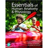 Essentials of Human Anatomy & Physiology, 13th edition - Pearson+ Subscription