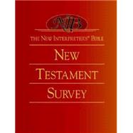 The New Interpreters Bible New Testament Survey