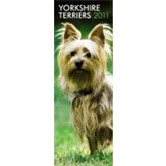 Yorkshire Terriers 2011 Slimline Calendar