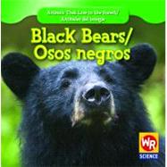 Black Bears/ Osos Negros