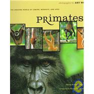 Primates The Amazing World of Lemurs, Monkeys, and Apes