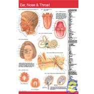 Ear Nose & Throat (binder)