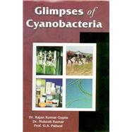 Glimpses of Cyanobacteria