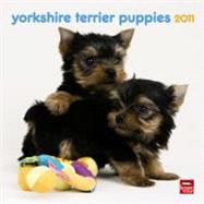Yorkshire Terrier Puppies 2011 Calendar