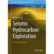 Seismic Hydrocarbon Exploration