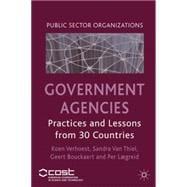 Government Agencies Practices and Lessons from 30 Countries