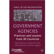 Government Agencies Practices and Lessons from 30 Countries