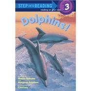 Dolphins!