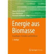 Energie Aus Biomasse