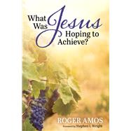 What Was Jesus Hoping to Achieve?