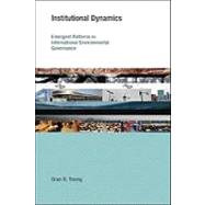 Institutional Dynamics