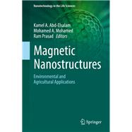 Magnetic Nanostructures