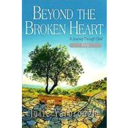 Beyond the Broken Heart: Small Group DVD : A Journey Through Grief