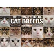 The Ultimate Guide To Cat Breeds A useful means of identifying the cat breeds of the world and how to care for them