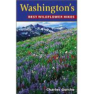 Washington's Best Wildflower Hikes