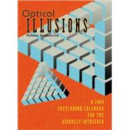 Optical Illusions 2009 Calendar