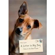 A Letter to My Dog Notes to Our Best Friends
