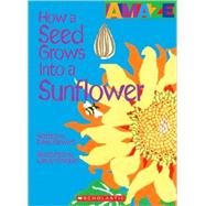How a Seed Grows Into a Sunflower
