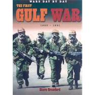 The First Gulf War