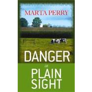Danger in Plain Sight : An Amish Suspense Novel