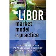 The Libor Market Model in Practice