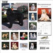 Goldendoodles 2007 Calendar