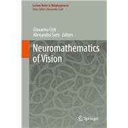 Neuromathematics of Vision