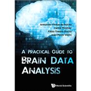 A Practical Guide to Brain Data Analysis