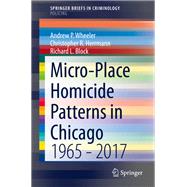 Micro-Place Homicide Patterns in Chicago