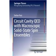 Circuit Cavity Qed With Macroscopic Solid-state Spin Ensembles