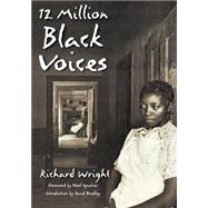 12 Million Black Voices