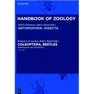 Morphology and Systematics