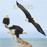 Eagles 2009 Calendar