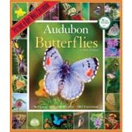 Audubon Butterflies 2012 Calendar