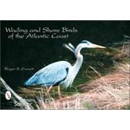 Wading and Shore Birds of the Atlantic Coast: Postcards
