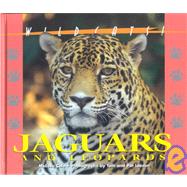 Jaguars and Leopards