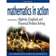 Mathematics in Action An Introduction to Algebraic, Graphical, and Numerical Problem Solving