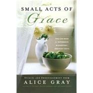 Small Acts of Grace : You Can Make a Difference in Everday, Ordinary Ways