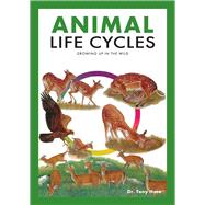 Animal Life Cycles Discovering How Animals Live in the Wild