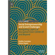 Social Entrepreneurship and Grand Challenges