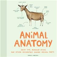 Animal Anatomy Sniff Tips, Running Sticks, and Other Accurately Named Animal Parts