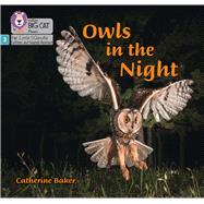 Big Cat Phonics for Little Wandle Letters and Sounds Revised – Owls in the Night Phase 3