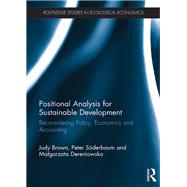 Positional Analysis for Sustainable Development: Reconsidering policy, economics and accounting