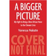 A Bigger Picture