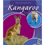The Life Cycle of a Kangaroo